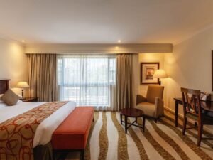 Serena Standard room Single occupancy